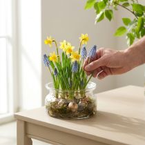 Article Bol décoratif en verre, bol flottant en verre Ø16cm H8cm