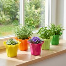 Article Jardinière pour plantes en pot, couleurs assorties. Ø10,5cm 10 pièces
