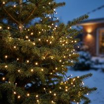 Article Guirlande lumineuse riz LED 350 vert, blanc chaud pour extérieur 7,5m