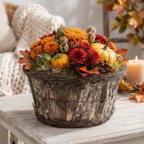 Article Pot de fleurs en écorce de bouleau avec vrilles, rond, Ø 33 cm, H 16 cm, décoratif
