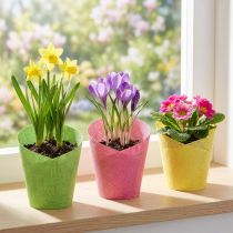 Article Jardinière papier tressé rose, jaune, vert Ø7cm H13cm 12pcs
