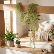 Article Tillandsia suspendu décoratif Tillandsia artificiel vert blanc 180cm