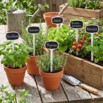 Article Etiquettes pour plantes 29cm noires inclinées 10 pcs