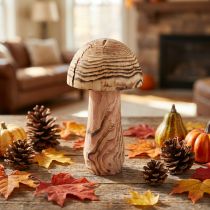 Article Champignon décoratif en bois de paulownia, à poser, Ø 15 cm, H 28 cm