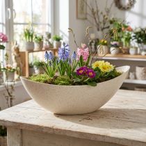Article Pot de fleurs en plastique, beige, 28×9×9cm