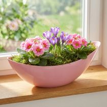 Article Bol à fleurs en plastique pour bateau à plantes rose 28×9×9cm 3pcs