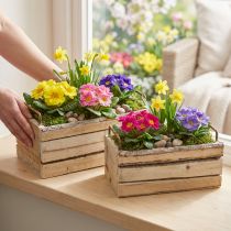 Article Jardinière Bois Écorce Manche Naturel L29cm/23cm Lot 2pcs