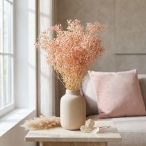 Article Décoration Gypsophile Herbes Séchées Orange Pêche 65-70cm 100g