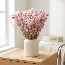 Article Bouquet de fleurs séchées Décoration sèche Camomille Rose 65cm 50g