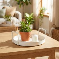 Article Plateau de plantation polyvalent pour la maison et le jardin, 18 cm