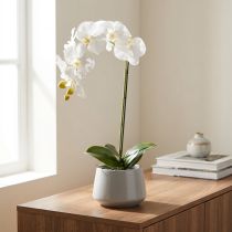 Article Orchidée artificielle, d'un réalisme saisissant, idéale pour la décoration de bureau et de salon, 62 cm