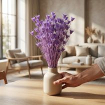 Article Bouquet de fleurs de nigelle séchées, pour la décoration du salon, crée une ambiance unique, 70 cm, 50 g