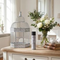 Article Spray de couleur argent vintage 400ml