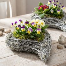 Article Pot de fleurs décoratif en forme de cœur, blanc, idée de jardinage créative pour la maison et cadeau, film plastique, lot de 4, 15 cm x 23 cm x 5 cm