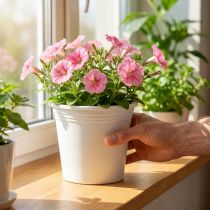 Article Pot en plastique « Irys » blanc Ø19cm H16cm 1 pc