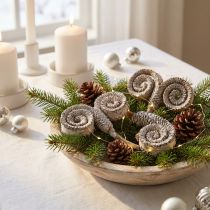Article Palmier mâle blanchi 25 pièces