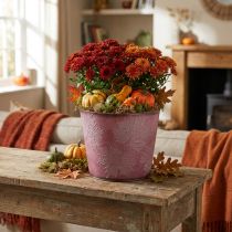 Article Pot d'automne, seau à plantes, décoration en métal avec feuilles rouge vin Ø25,5cm H22cm