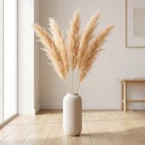 Article Fleurs séchées Asperges ornementales Abricot 90cm 5pcs