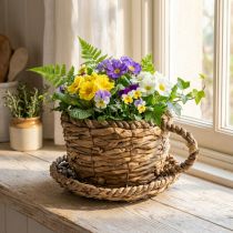 Article Pot de plantation avec soucoupe, petit panier de plantation en paille, Ø17cm H13cm