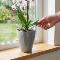 Article Pot à orchidées brillant Ø12,5cm gris 1 pièce