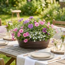 Article Anneau de plante « Rondino » 55cm marron 1 pièce