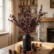 Article Branches d'eucalyptus, eucalyptus stabilisé, fleurs séchées, rouge, 75 cm, 150 g