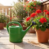 Article Arrosoir pour jardin et balcon, accessoire d'entretien des plantes 5L