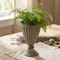 Article Jardinière Coupe déco antique Métal Gris Marron Ø13cm H19cm
