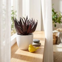 Article Plante d'Aloe Vera Artificielle en Pot Plante Décorative Verte H20cm