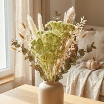 Article Décoration sèche chardon sauvage vert clair 85g