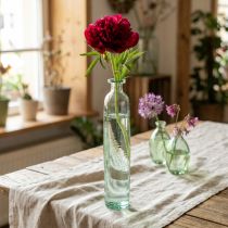Article Vase décoratif en forme de bouteille, verre transparent/vert, style rétro, Ø 6,5 cm, H 30 cm