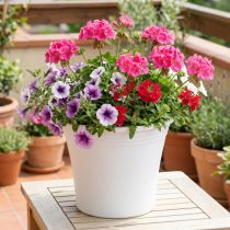 Article Pot plastique « Irys » blanc Ø22cm H18cm 1 pièce
