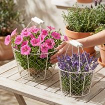 Article Paniers décoratifs en fil de fer, 30 cm, 1 lot, pour une solution décorative et créative pour votre jardin.