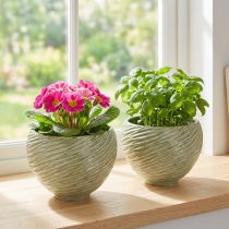 Article Jardinière décorative en céramique verte Ø15cm H11cm 2pcs