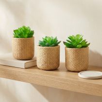 Article Plantes succulentes artificielles en pot Plantes artificielles assorties 10 cm 3 pièces