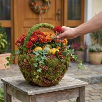 Article Panier rustique à fleurs avec mousse et pommes de pin - panier décoratif avec anse Ø32cm H42cm - décoration polyvalente pour le jardin et la maison