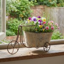 Article Pot de fleurs Jardinière vélo métal Gris Rouille 34×16×18cm