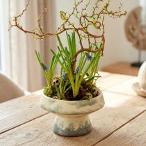 Article Bol décoratif en céramique avec socle crème gris vert Ø17cm 10cm