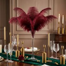 Article Plumes d'autruche vraies plumes décoration vin rouge 20-25cm 12 pcs