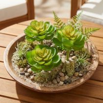 Article Echeveria Succulentes Artificielles Vert Ø7cm 6 pcs