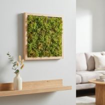 Article Tapis de mousse artificielle – parfait pour l'image de mousse vert clair 25×25cm
