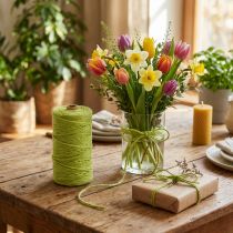Article Ruban de jute ruban de cordon de jute ruban décoratif jute vert Ø4mm 100m