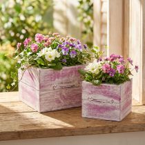 Article Tiroir à plantes avec poignée bois blanc rose 12/15cm lot de 2