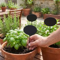 Article Étiquettes pour plantes, tuteurs de jardin en bois, noirs, 19 cm, lot de 12 - tuteurs de jardin, tuteurs pour herbes aromatiques