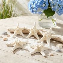 Article Étoile de mer décorative grande étoile de mer cloutée blanche séchée 19-26cm 5 pcs