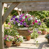Article Bol à plantes, panier suspendu, panier suspendu naturel, blanc Ø35cm