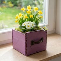 Article Bac à plantes décoratif en bois violet 12,5 cm