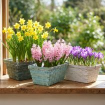 Article Jardinière, panier à plantes tressé, panier à copeaux carré vert/blanc 25cm 6 pcs