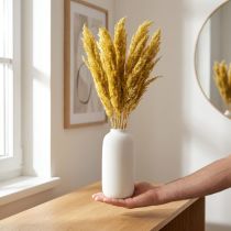 Article Herbe séchée, roseau, jaune, décoratif, 70 cm, fleurs séchées, 10 pièces