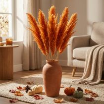 Article Herbe séchée, roseau, herbe décorative, orange, décoration d'automne, 70 cm, lot de 10
